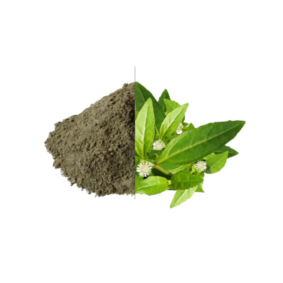 Bhringraj Powder -  ( 100g , 250g )