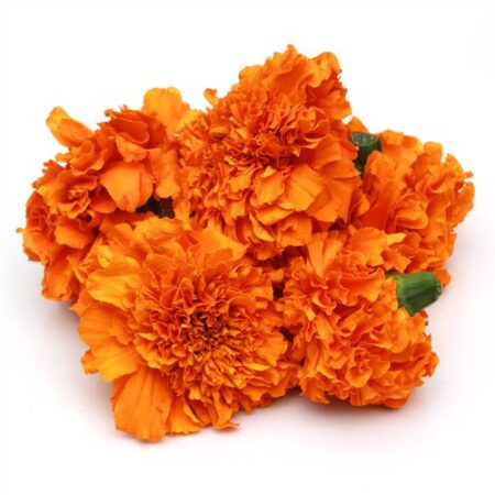 Fresho Marigold Flower - Orange, 100 g