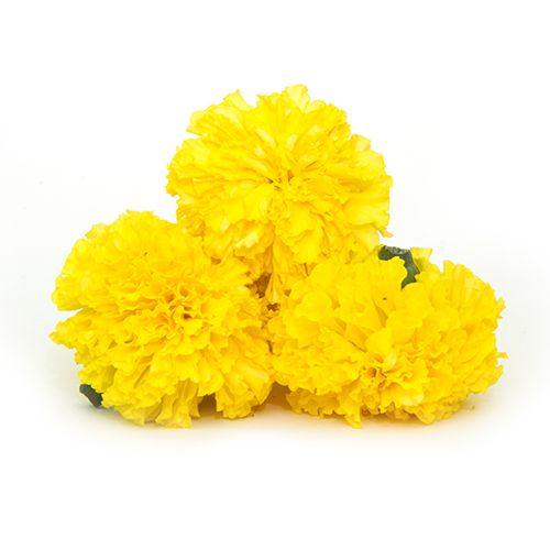 Marigold Flower - Yellow, 100 g