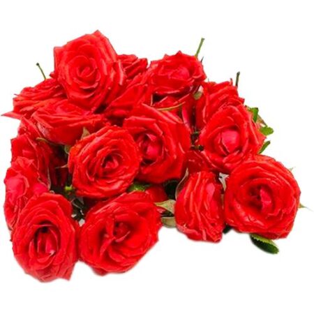 Rose - Red Flower, 1 kg