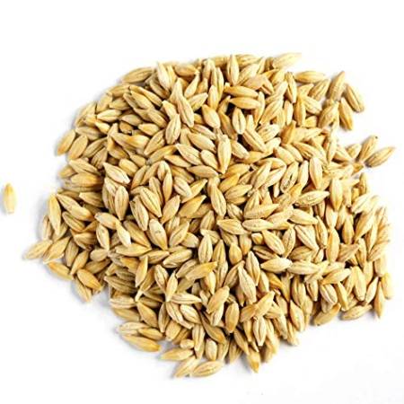 Barley (Yava) -Pearled(100 G,250G)
