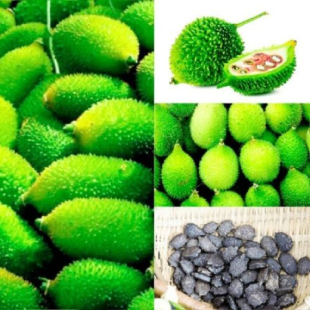 Agakara Seeds  ( 25g , 50g , 100g )