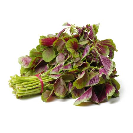 Amaranthus - Red Cleaned, without roots