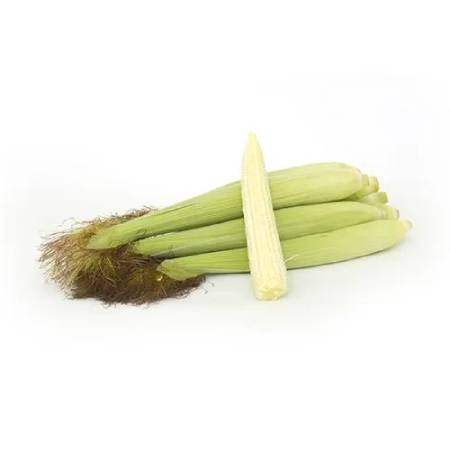 Baby Corn - Unpeeled (Loose)