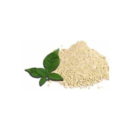 Bilvam (Maredu) Powder  ( 100g , 250g )