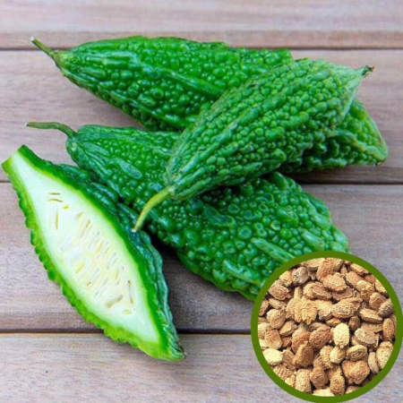 Bitter Gourd Seeds (25g , 50g , 100g )