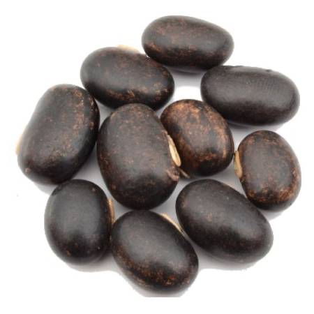 Black Kapikachu (Nalla Dulagondi)  (100 G  - 250 G )