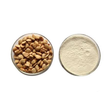 Chintha Ginjala Powder  ( 100g , 250g )