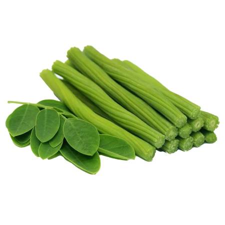 Drumstick/Moringa 1pc