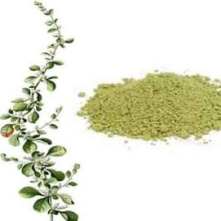 Kondapindi Powder  ( 100g , 250g )