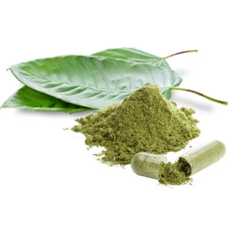 Hibiscus(Mandhara) Leaves Powder ( 100g , 250g )