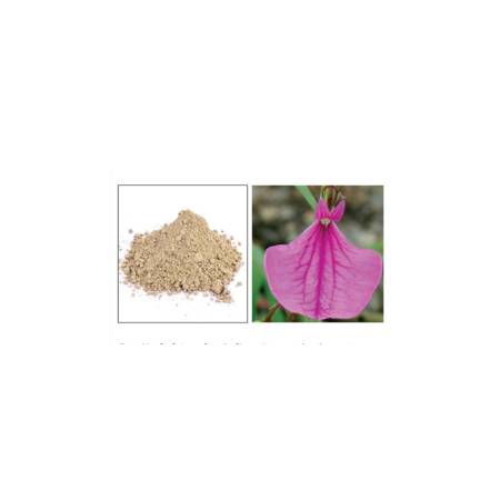 Rathnapurusha Powder   ( 100g , 250g )