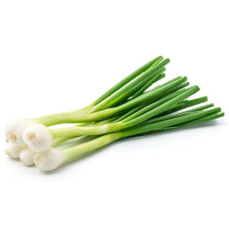 Spring Onion - With roots
