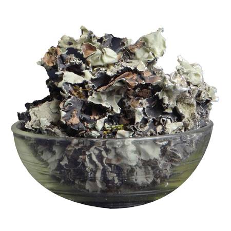 Stone Flower 100grms