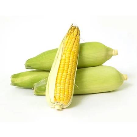 Sweet Corn (Loose) 1pc