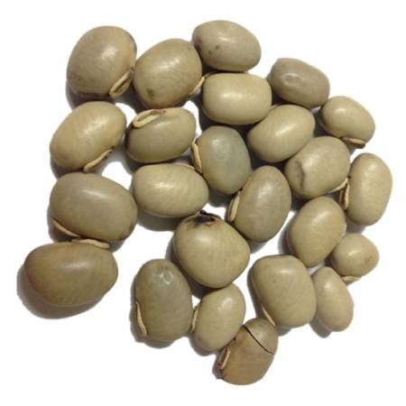 White Kapikachu (Tella Dulagondi)  ( 100g , 250g )