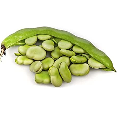 Beans Seeds ( 25g , 50g , 100g )