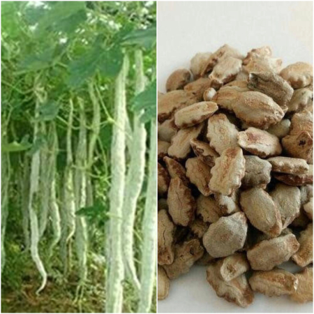 Snake Gourd Seeds Long  (25g , 50g , 100g )