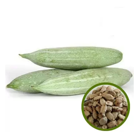 Snake Gourd Seeds ( 25g , 50g , 100g )