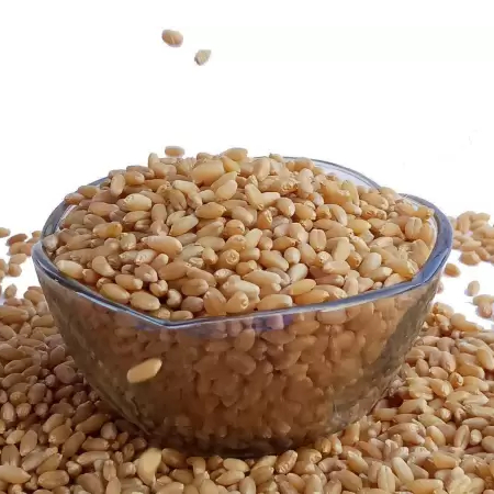 wheat grain 1kg