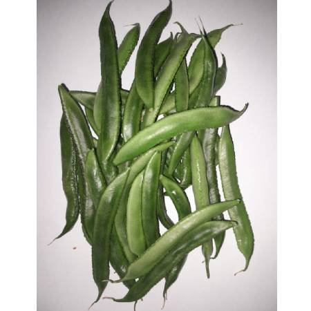 Beans - Broad(Whole ,Cut)